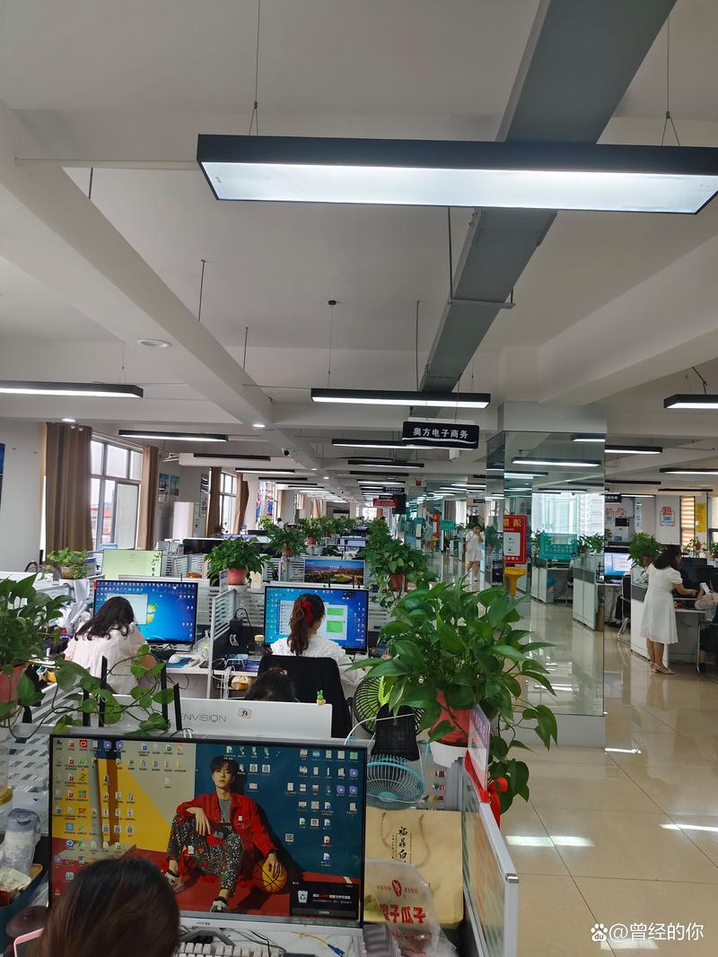 山东电子商务行业的现状与展望